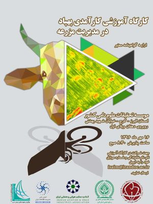 کارآمدی پهپاد در مدیریت مزرعه